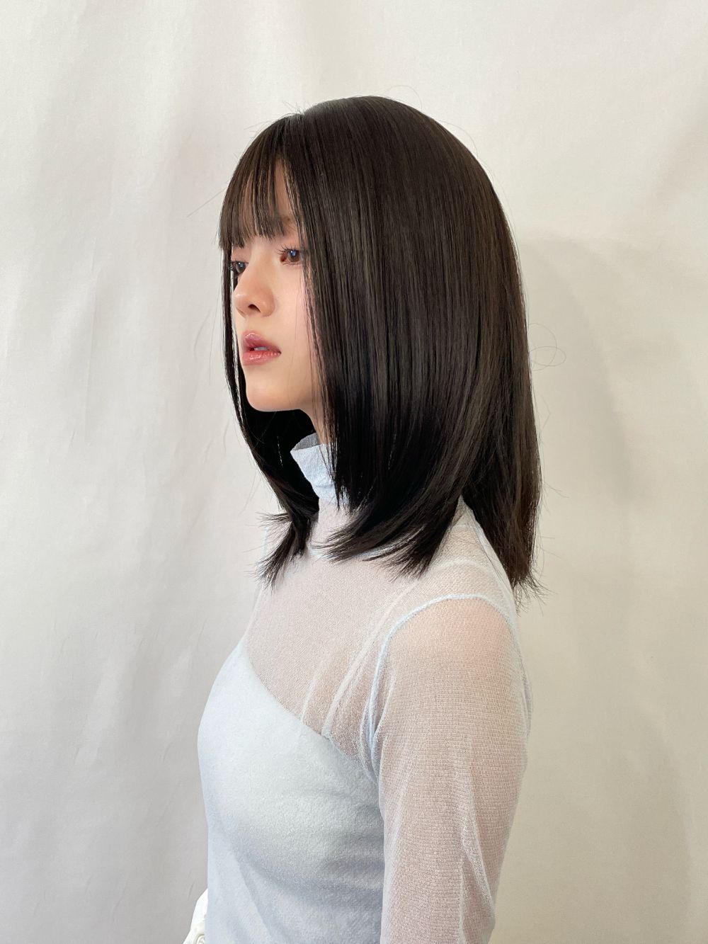 ロッタレイヤーミディアム