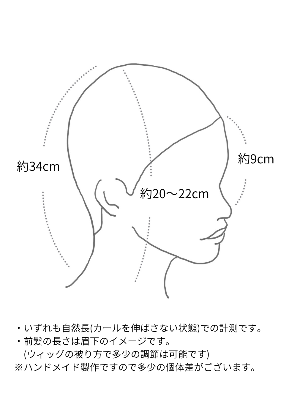 ノエルシャギーショート