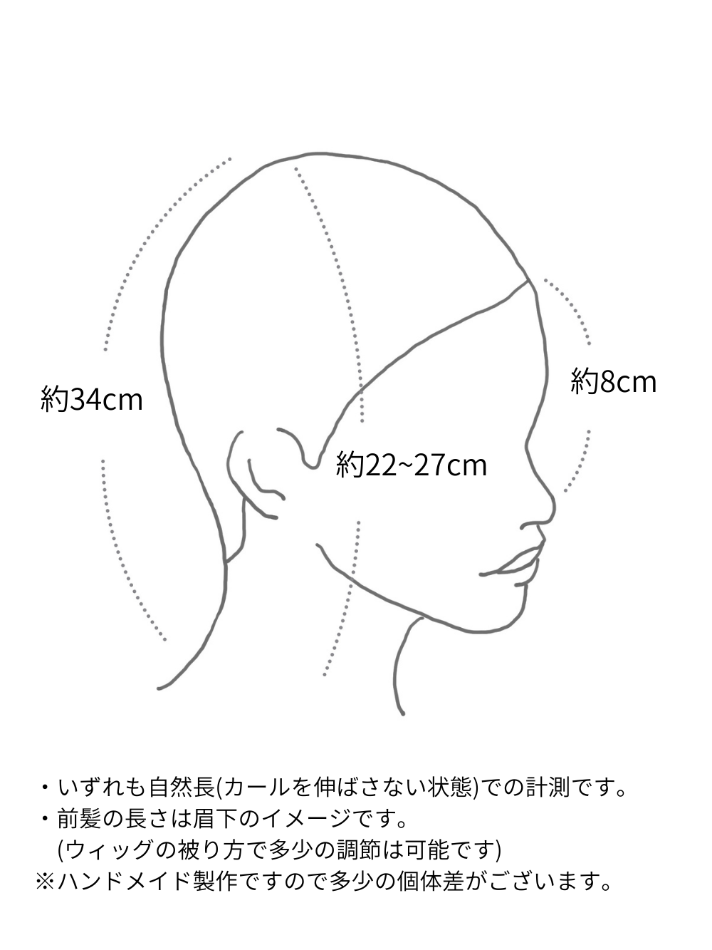シオンレイヤーボブ