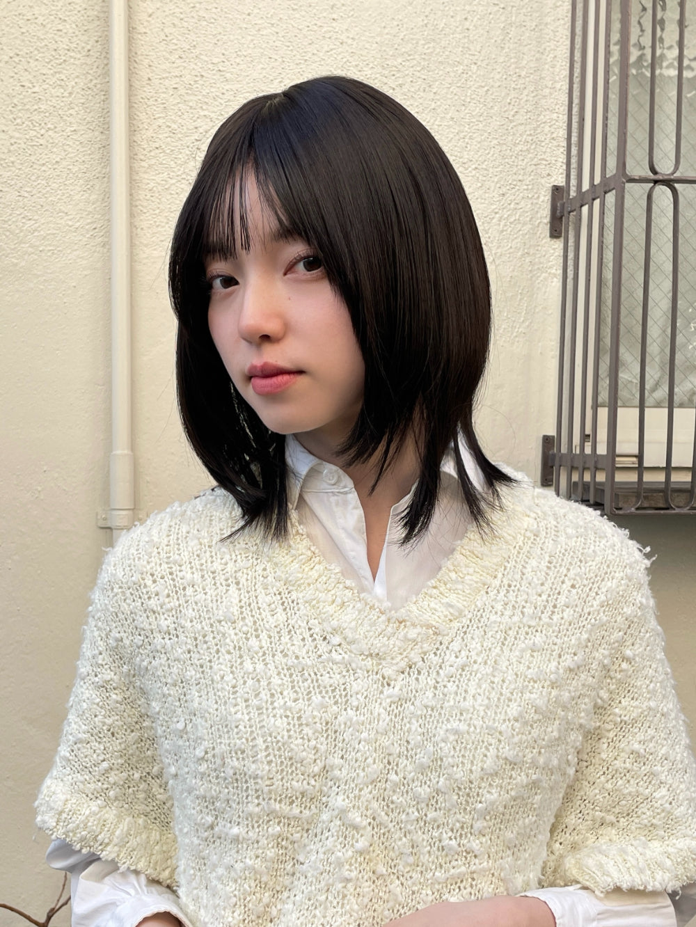 メイミディアムウルフ