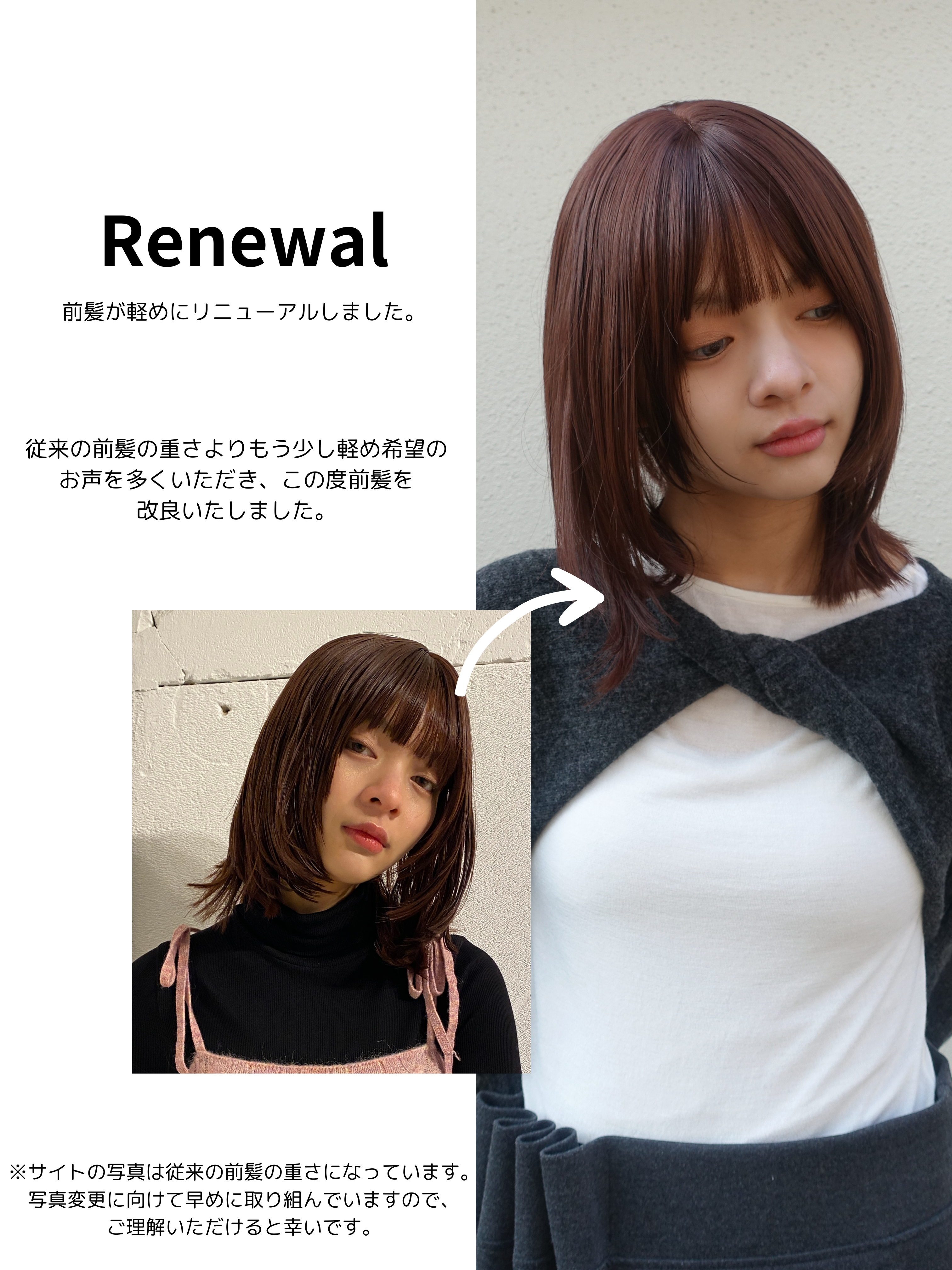 ロッタレイヤーミディアム