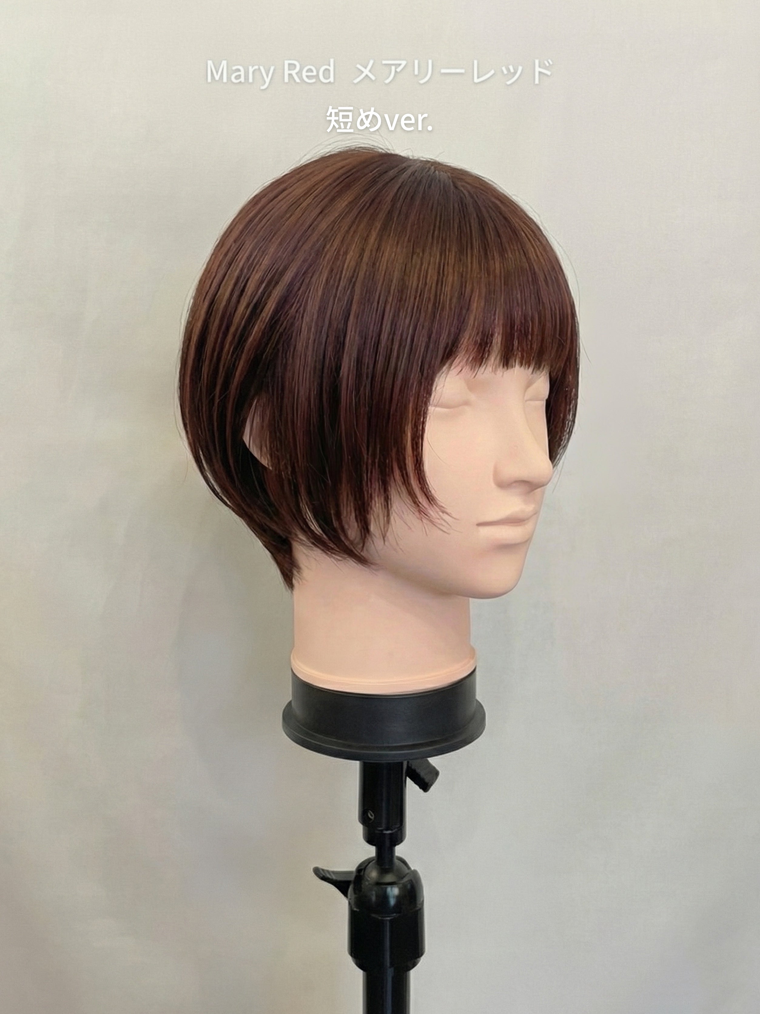 ポールマッシュレイヤー