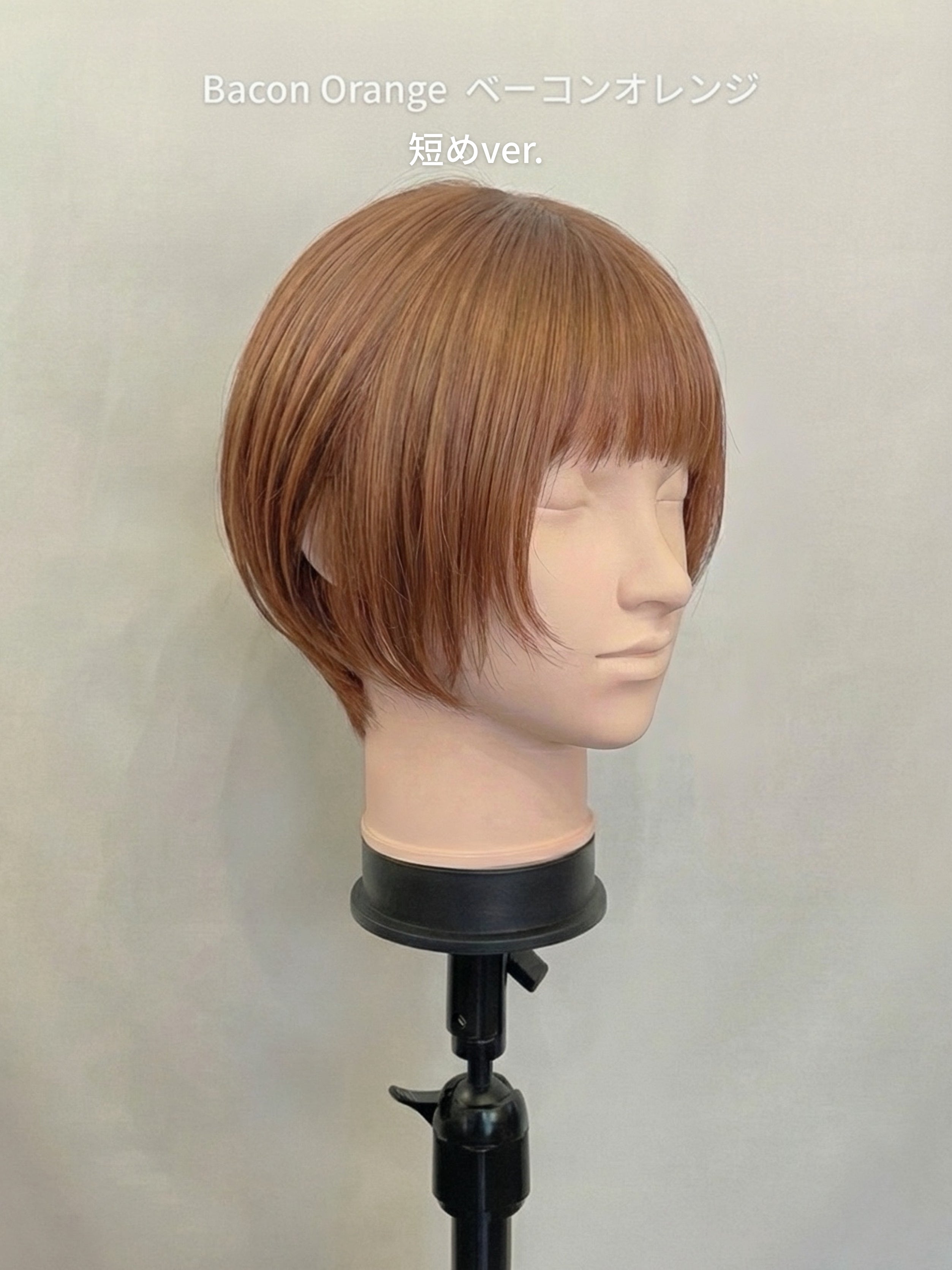 NEJIKO ポールマッシュレイヤーウィッグ ポールマッシュレイヤー/ウィッグ/ショートレイヤー