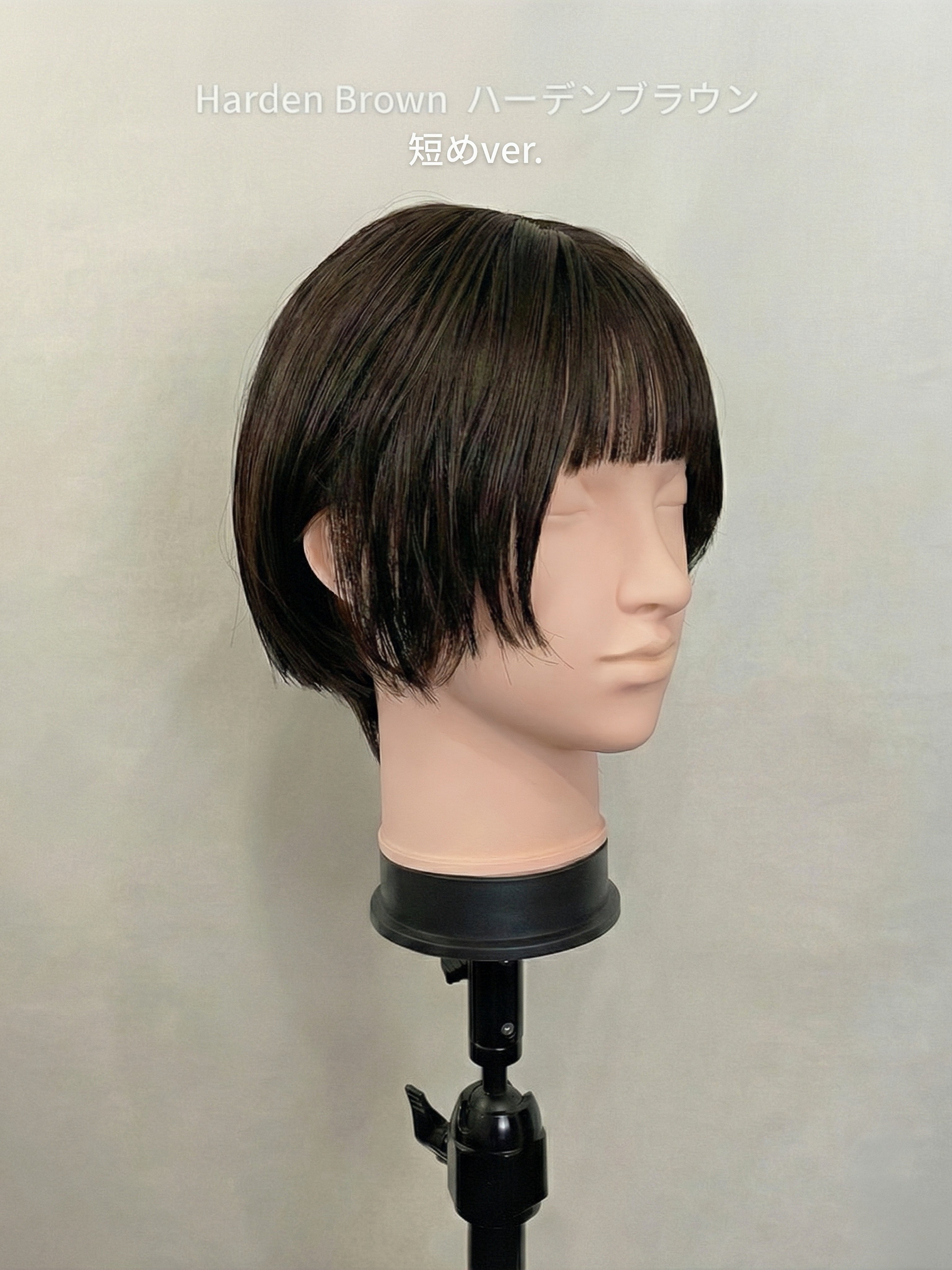 ブラウン ショートウィッグ レイヤーカット レイヤーショート - ブラウン04 | ウィッグ 茶 | コスプレウィッグ通販