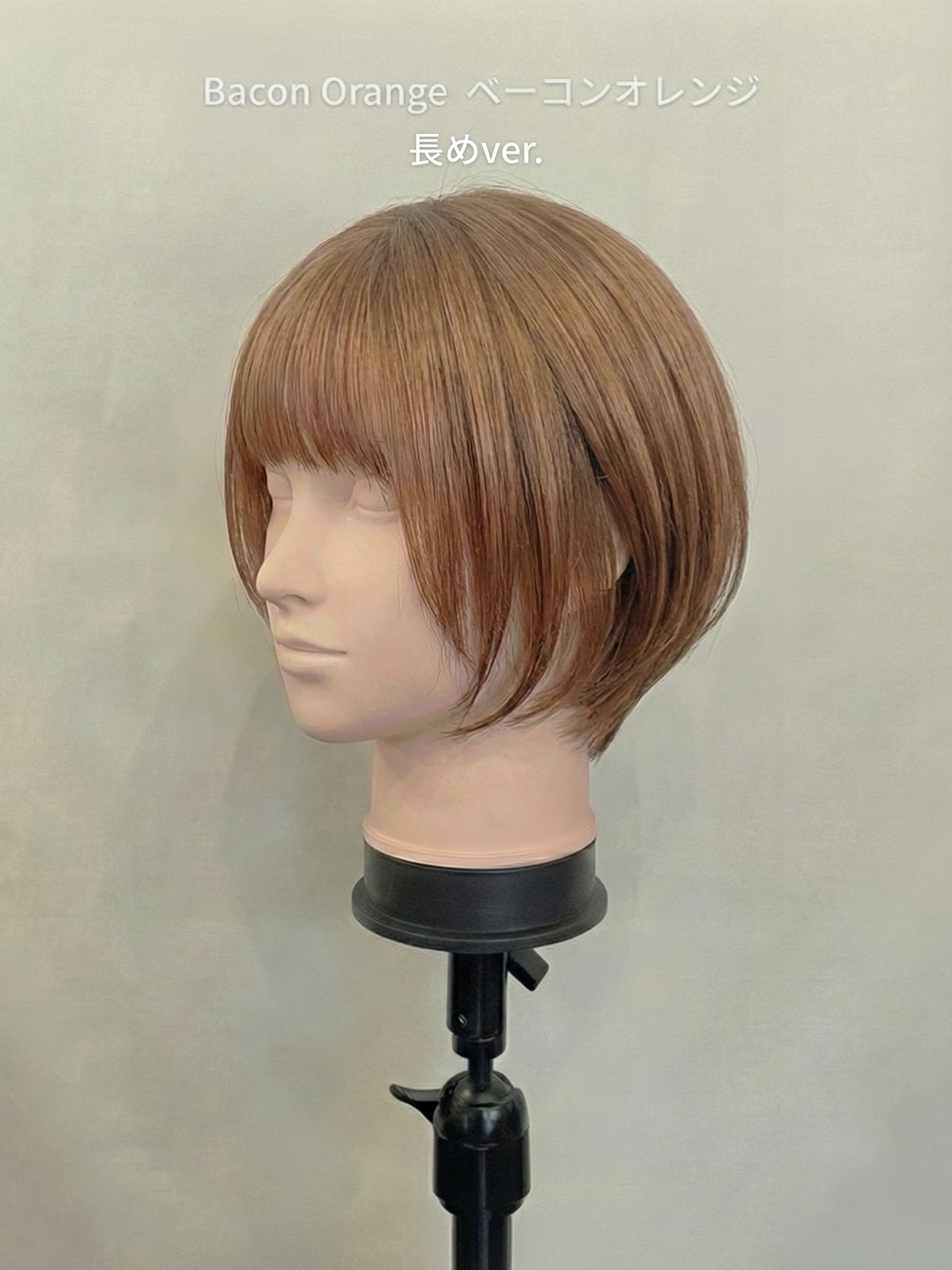 ポールマッシュレイヤー