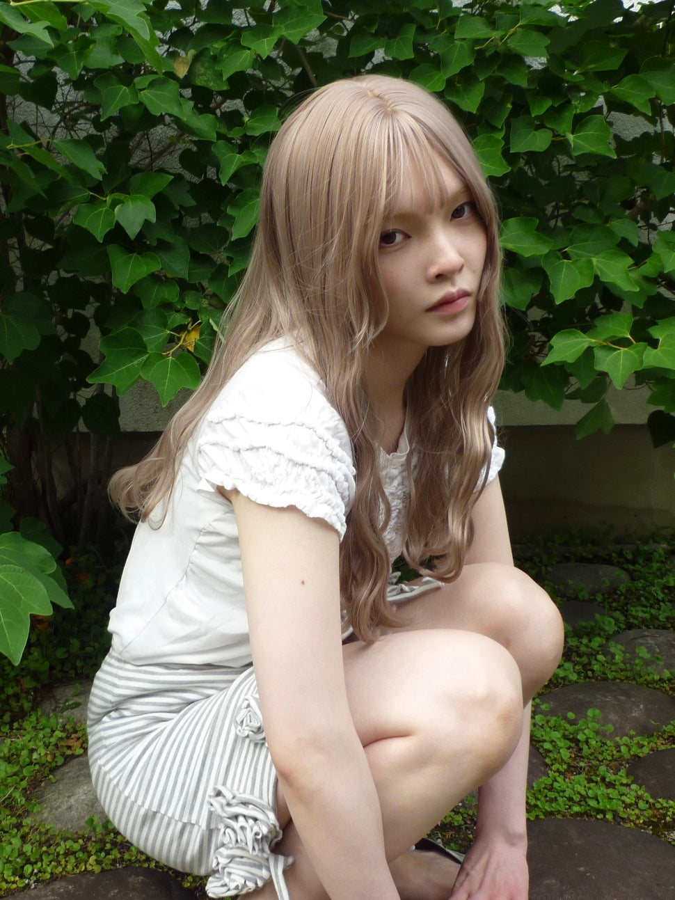 コレクション