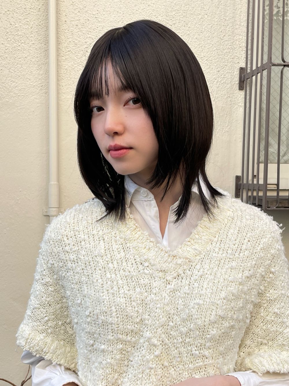 メイミディアムウルフ