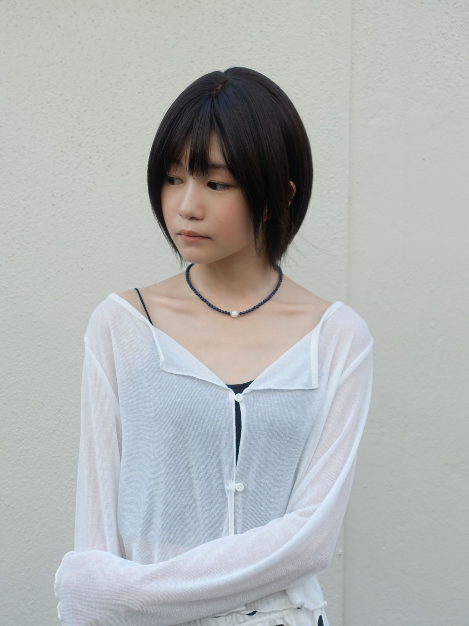 ノエルシャギーショート