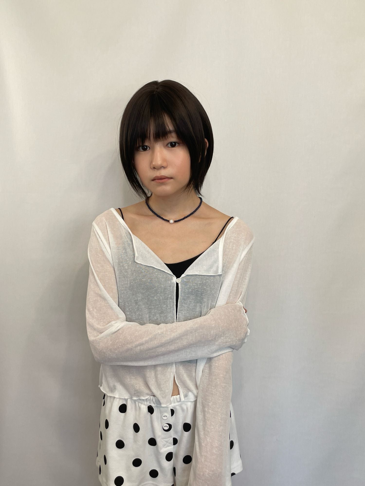 ノエルシャギーショート