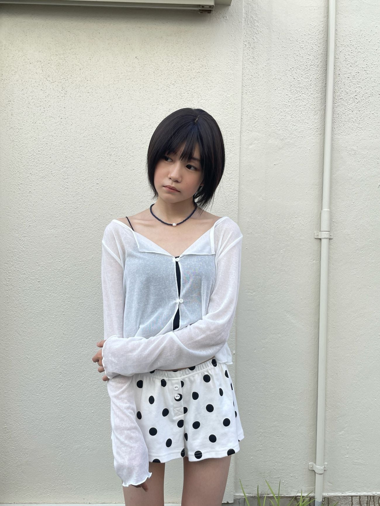 ノエルシャギーショート