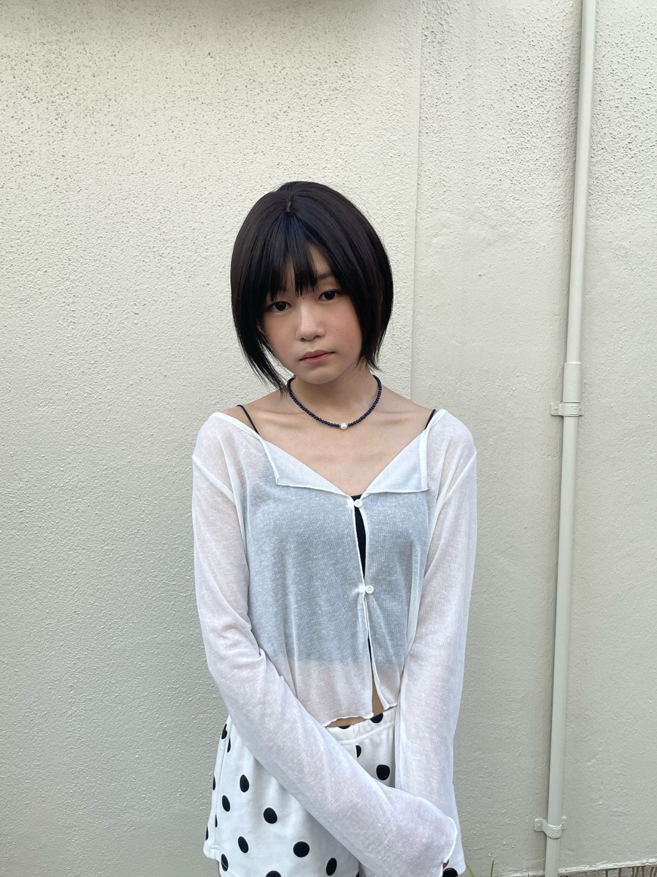 ノエルシャギーショート