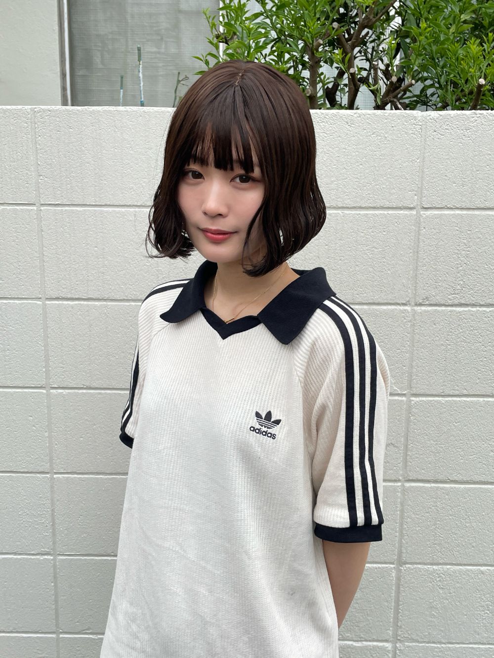 モニカワンレンボブ